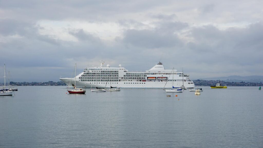 white cruise ship on sea under white clouds